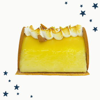 Bûche glacée Frisson givré