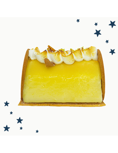 Bûche glacée Frisson givré