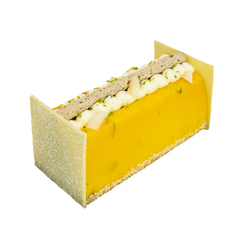 Bûche Rocher des îles