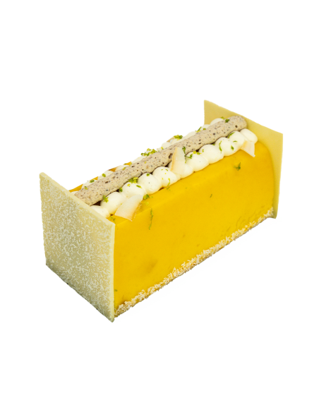 Bûche Rocher des îles