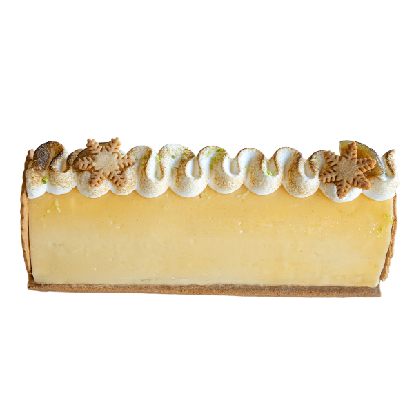 Bûche glacée Frisson givré